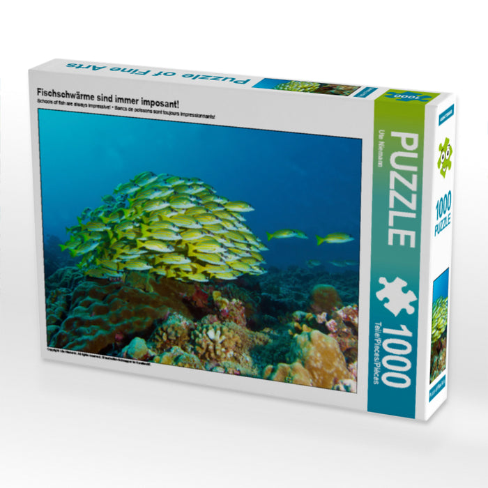 Fischschwärme sind immer imposant! 1000 Teile Puzzle quer - CALVENDO Foto-Puzzle'