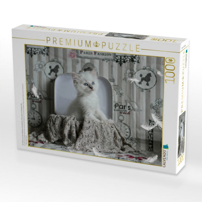 Ein Motiv aus dem Kalender Samtpfoten Momente mit Shabby Chic & Vintage Flair - CALVENDO Foto-Puzzle'