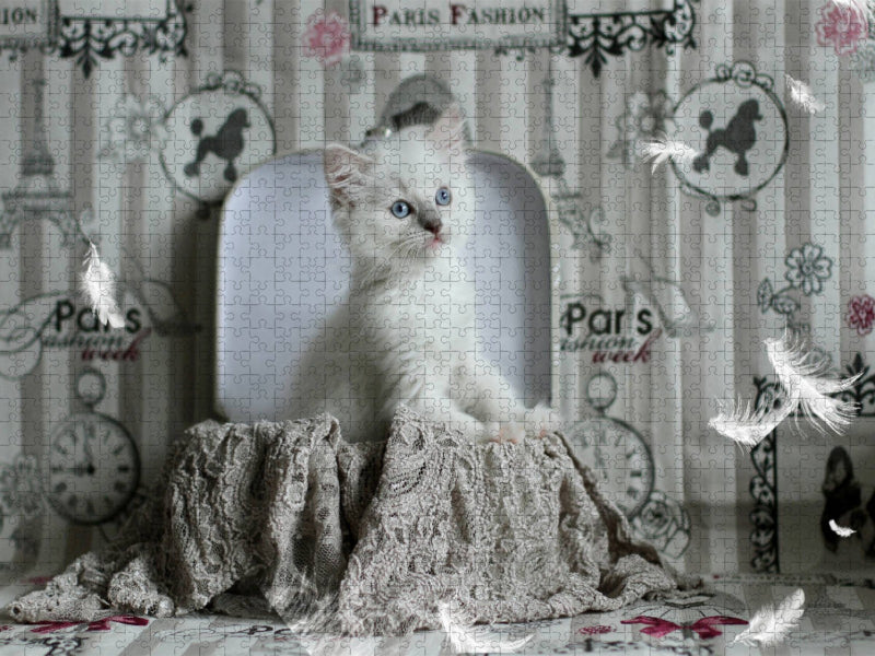 Ein Motiv aus dem Kalender Samtpfoten Momente mit Shabby Chic & Vintage Flair - CALVENDO Foto-Puzzle'