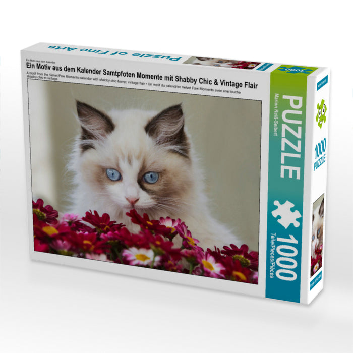 Ein Motiv aus dem Kalender Samtpfoten Momente mit Shabby Chic & Vintage Flair 1000 Teile Puzzle quer - CALVENDO Foto-Puzzle'