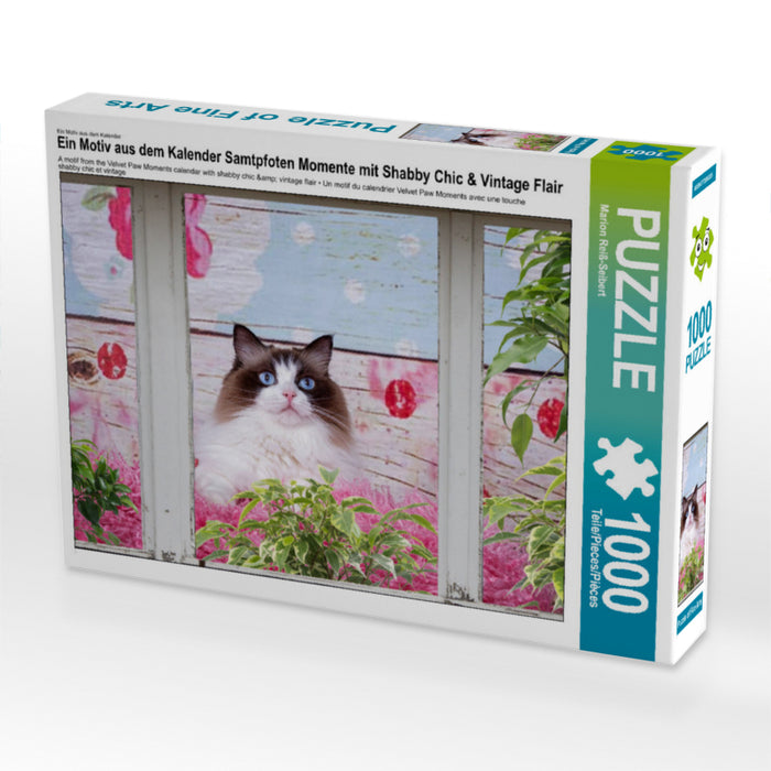 Ein Motiv aus dem Kalender Samtpfoten Momente mit Shabby Chic & Vintage Flair 1000 Teile Puzzle quer - CALVENDO Foto-Puzzle'