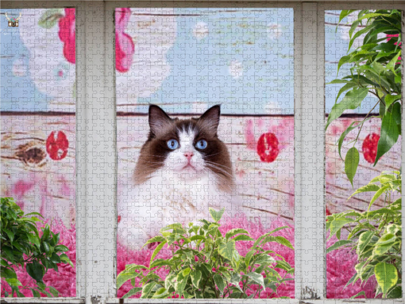 Ein Motiv aus dem Kalender Samtpfoten Momente mit Shabby Chic & Vintage Flair 1000 Teile Puzzle quer - CALVENDO Foto-Puzzle'