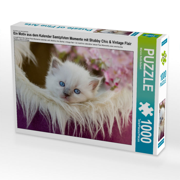 Ein Motiv aus dem Kalender Samtpfoten Momente mit Shabby Chic & Vintage Flair 1000 Teile Puzzle quer - CALVENDO Foto-Puzzle'