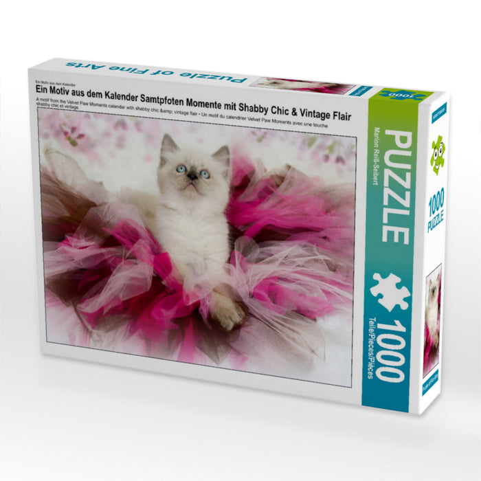 Ein Motiv aus dem Kalender Samtpfoten Momente mit Shabby Chic & Vintage Flair 1000 Teile Puzzle quer - CALVENDO Foto-Puzzle'