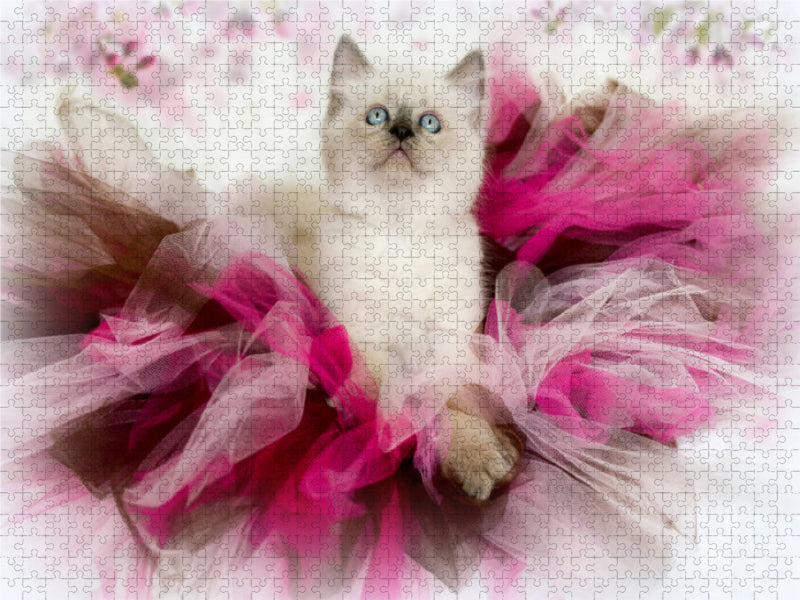 Ein Motiv aus dem Kalender Samtpfoten Momente mit Shabby Chic & Vintage Flair 1000 Teile Puzzle quer - CALVENDO Foto-Puzzle'