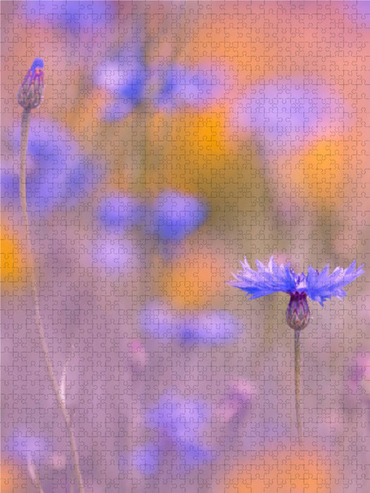 Kornblumen im Feld 1000 Teile Puzzle hoch - CALVENDO Foto-Puzzle'