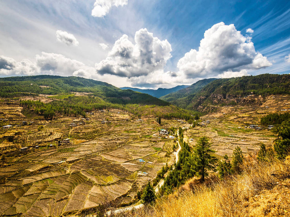 Harmonisches Landschaftsbild mit Reisfelder in Bhutan, Himalaya, Asien 1000 Teile Puzzle quer - CALVENDO Foto-Puzzle'