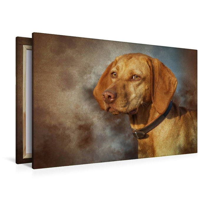 Toile textile haut de gamme Toile textile haut de gamme 120 cm x 80 cm paysage Magyar Vizsla