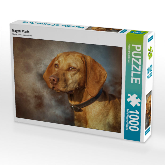 Magyar Vizsla 1000 Teile Puzzle quer - CALVENDO Foto-Puzzle'