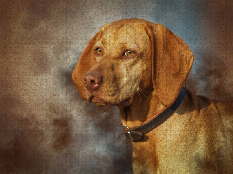 Magyar Vizsla 1000 Teile Puzzle quer - CALVENDO Foto-Puzzle'