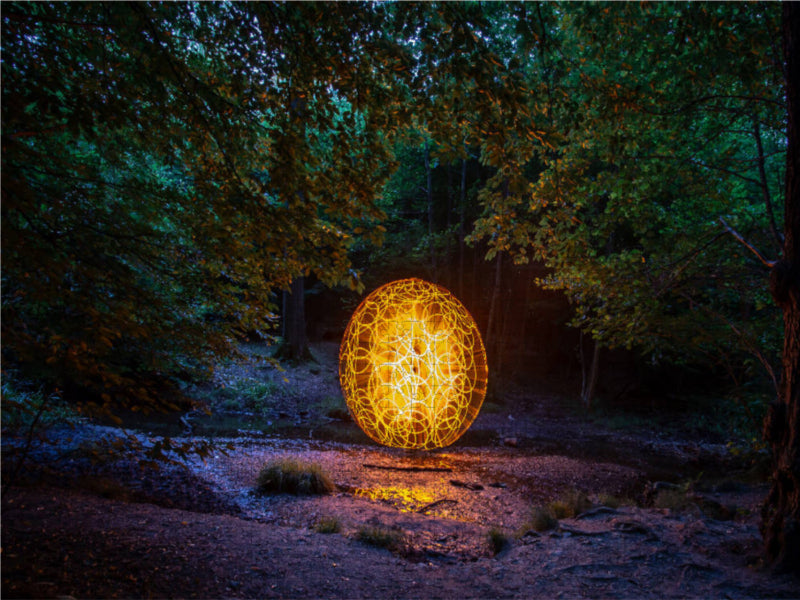 Busch Orb 1000 Teile Puzzle quer - CALVENDO Foto-Puzzle'