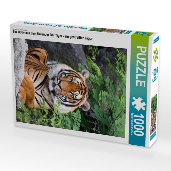 Ein Motiv aus dem Kalender Der Tiger - ein gestreifter Jäger 1000 Teile Puzzle hoch - CALVENDO Foto-Puzzle'