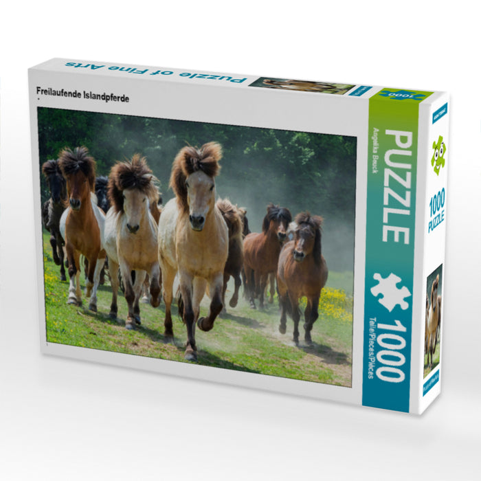 Free-roaming Icelandic horses - CALVENDO photo puzzle 
