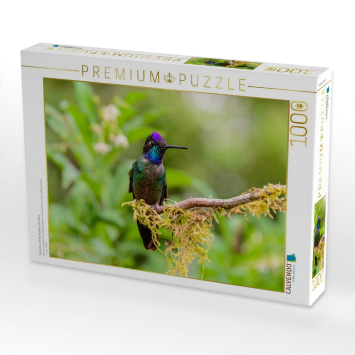 Violettkron-Brillantkolibri, Costa Rica - CALVENDO Foto-Puzzle'