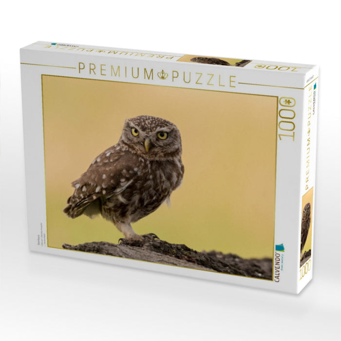 Steinkauz - CALVENDO Foto-Puzzle'