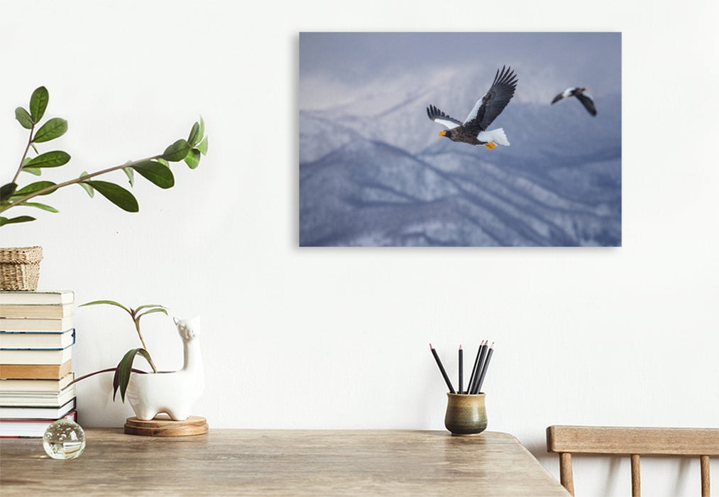 Premium textile canvas Premium textile canvas 120 cm x 80 cm landscape giant sea eagle 