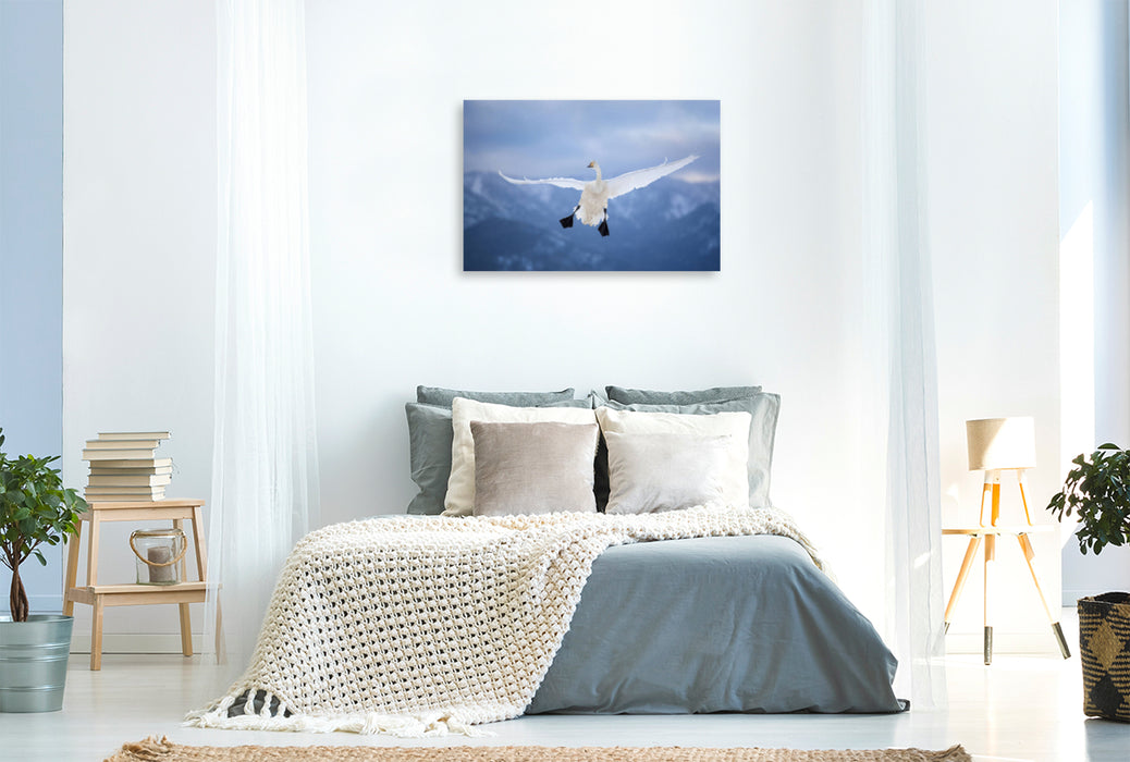 Premium textile canvas Premium textile canvas 120 cm x 80 cm landscape whooper swan 