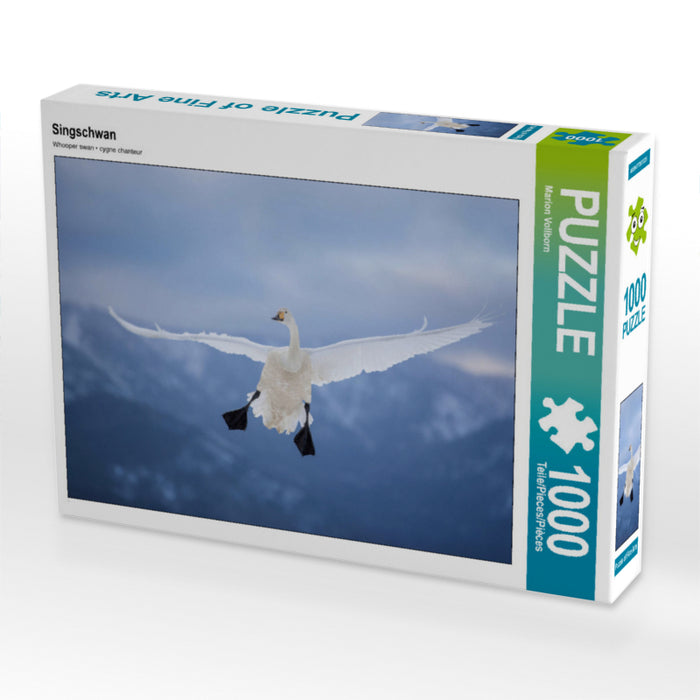 Singschwan 1000 Teile Puzzle quer - CALVENDO Foto-Puzzle'