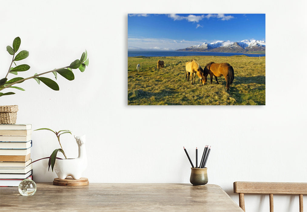 Premium textile canvas Premium textile canvas 120 cm x 80 cm landscape Wide pastureland near Akureyri 