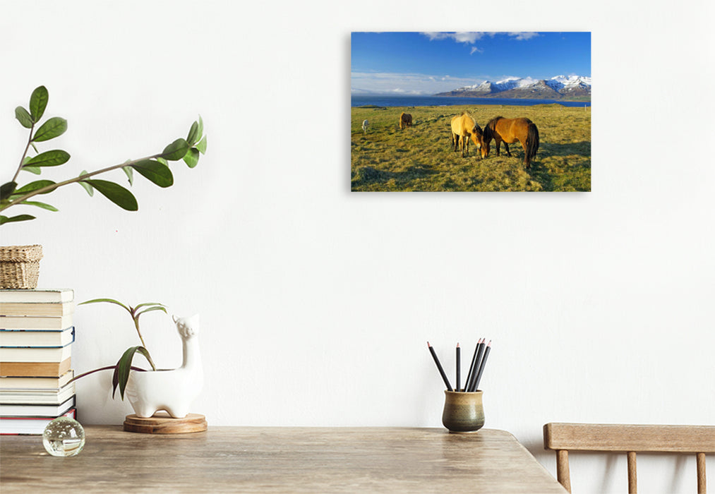 Premium textile canvas Premium textile canvas 120 cm x 80 cm landscape Wide pastureland near Akureyri 