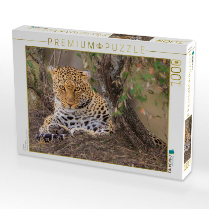 Leopardin - CALVENDO Foto-Puzzle'