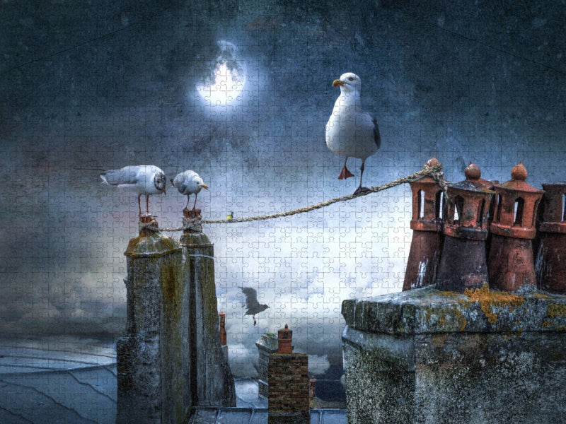 Seiltänzer - CALVENDO Foto-Puzzle'