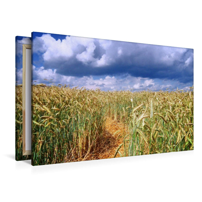 Premium Textil-Leinwand Strohweg durch ein Kornfeld in Germerode