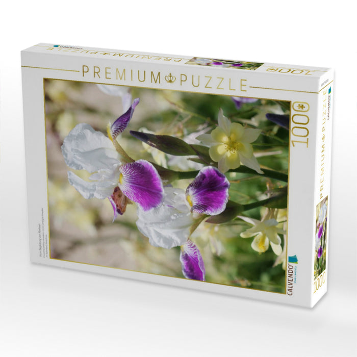 Iris in Begleitung von Akeleien - CALVENDO Foto-Puzzle'