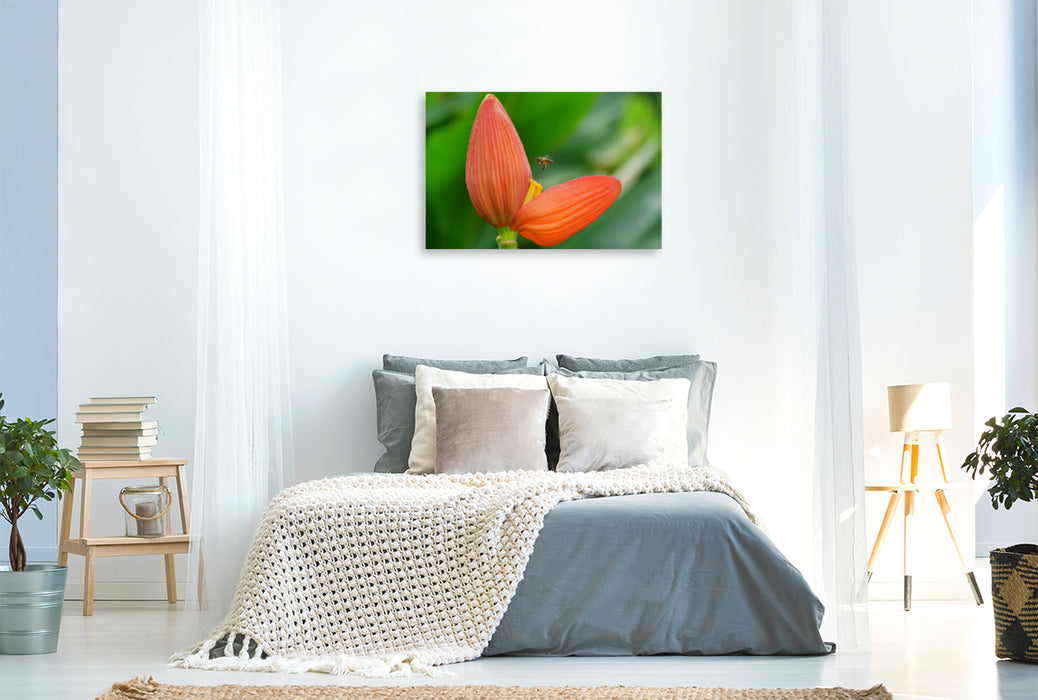 Premium textile canvas Premium textile canvas 120 cm x 80 cm landscape Red blossom with bee 