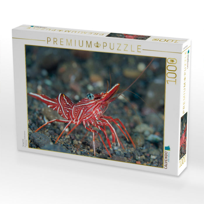 Tanzgarnele - CALVENDO Foto-Puzzle'