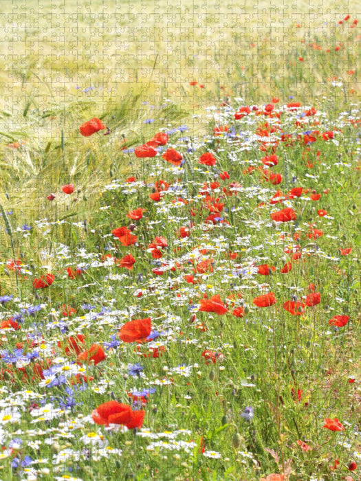 Blumen im Kornfeld - CALVENDO Foto-Puzzle'