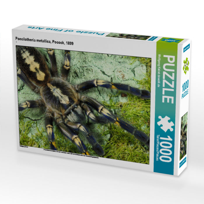 Poecilotheria metallica, Pocock, 1899 1000 Teile Puzzle quer - CALVENDO Foto-Puzzle'