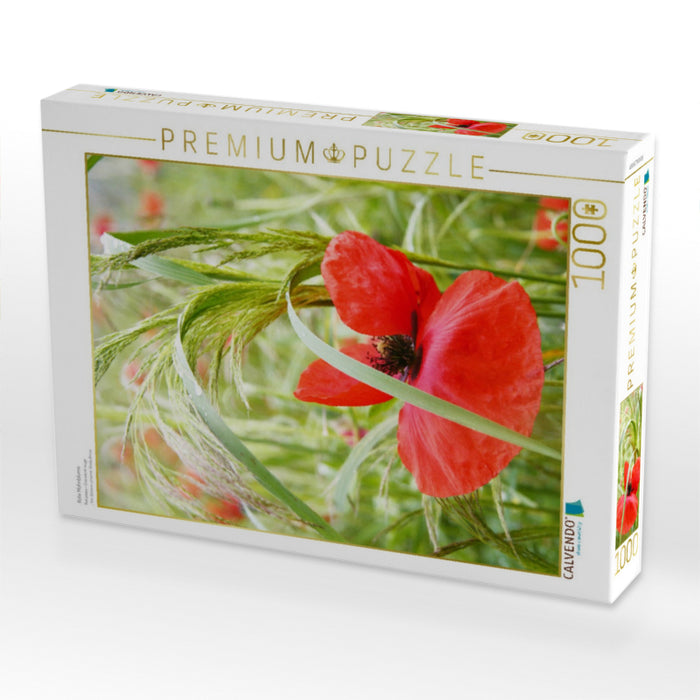 Rote Mohnblume - CALVENDO Foto-Puzzle'