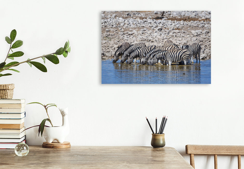 Premium Textil-Leinwand Zebras
