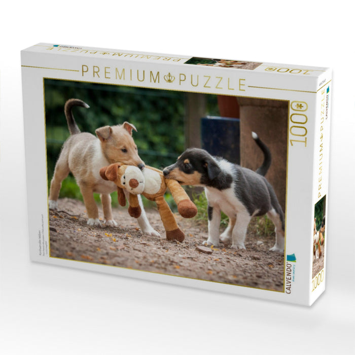 Kurzhaarcollie-Welpen - CALVENDO Foto-Puzzle'