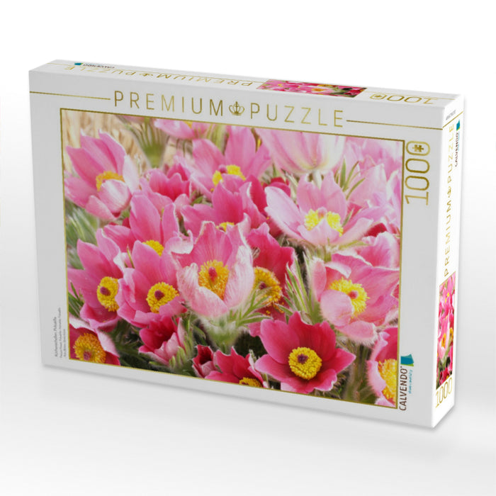 Küchenschellen, Pulsatilla - CALVENDO Foto-Puzzle'