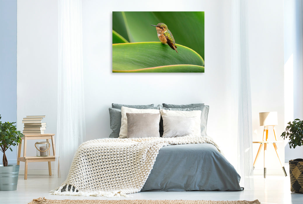 Premium textile canvas Premium textile canvas 120 cm x 80 cm landscape Volcanic elf sitting on a leaf, Costa Rica 