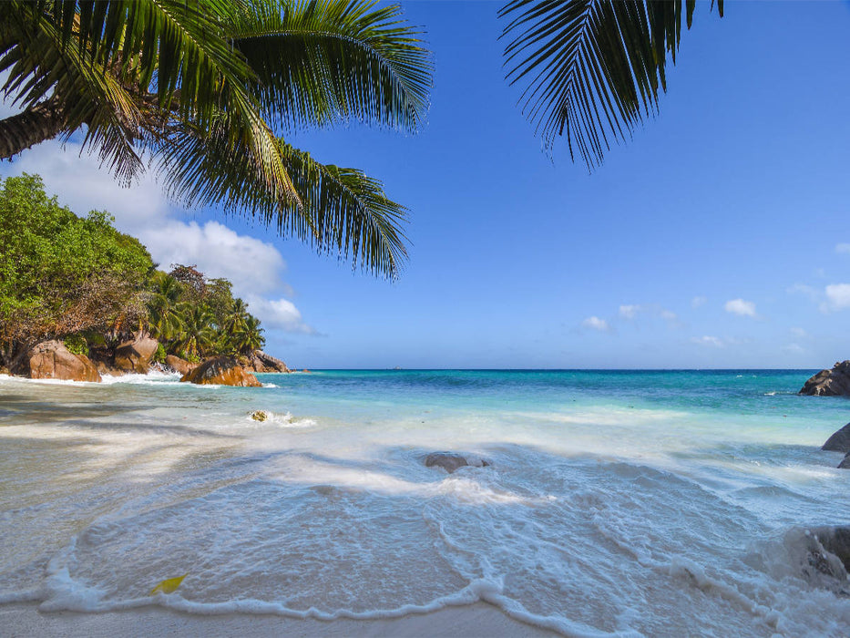 Ein Motiv aus dem Kalender Seychellen - Das letzte Paradies auf Erden 1000 Teile Puzzle quer - CALVENDO Foto-Puzzle'