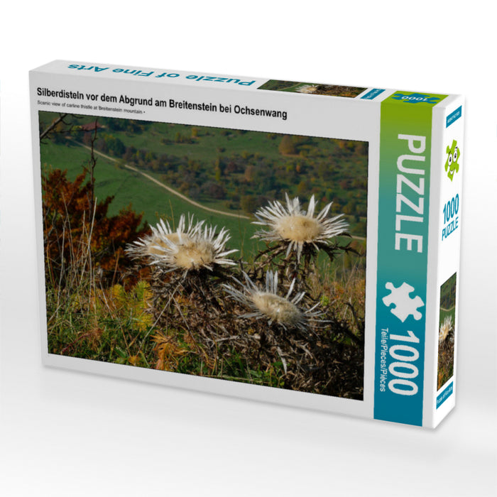 Silberdisteln vor dem Abgrund am Breitenstein bei Ochsenwang 1000 Teile Puzzle quer - CALVENDO Foto-Puzzle'