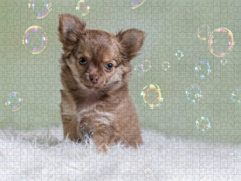 Angel entdeckt die Seifenblasen - CALVENDO Foto-Puzzle'