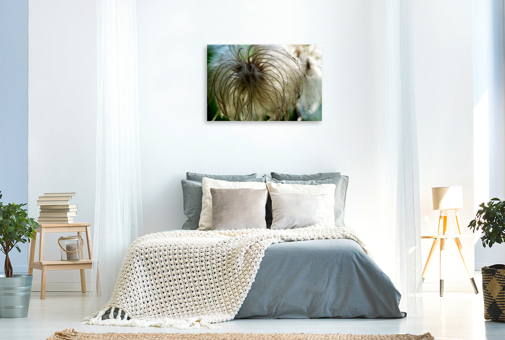 Premium textile canvas Premium textile canvas 120 cm x 80 cm landscape Delicate, fluffy clematis. 