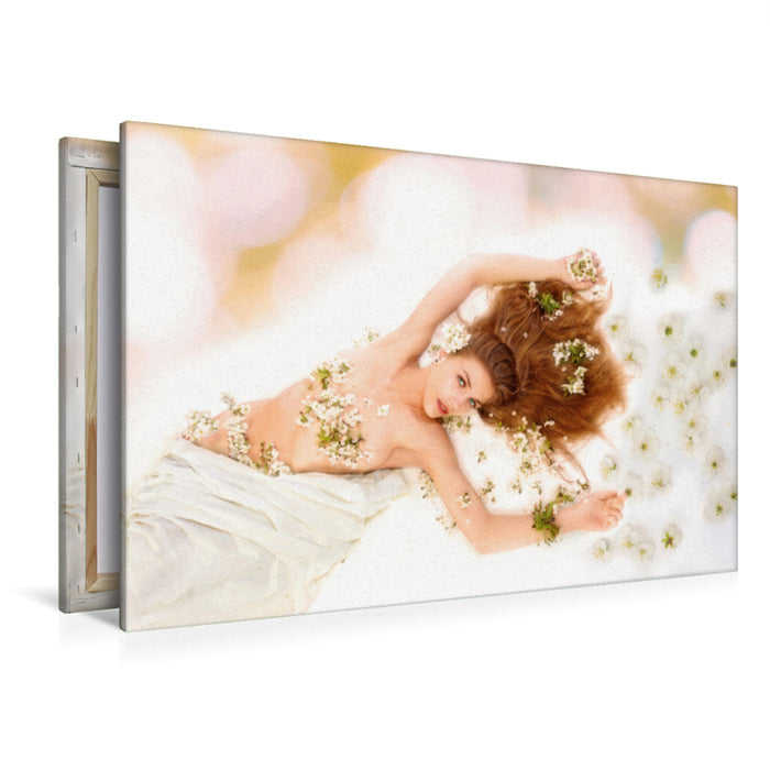 Premium Textil-Leinwand Premium Textil-Leinwand 120 cm x 80 cm quer Kokon