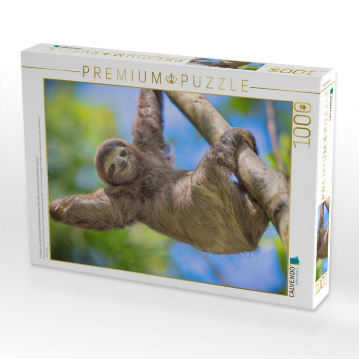 Ein Motiv aus dem Kalender Hallo! Aufwachen! Kann bitte mal jemand das Faultier wecken? - CALVENDO Foto-Puzzle'