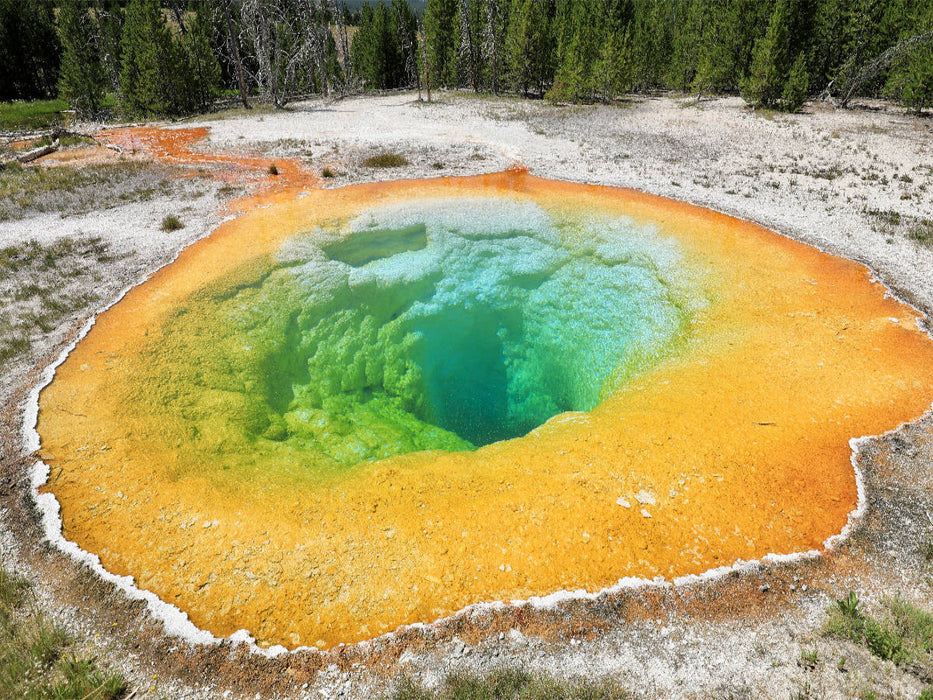 Morning Glory Pool im Upper Geyser Basin. 1000 Teile Puzzle quer - CALVENDO Foto-Puzzle'