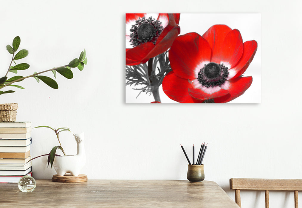 Premium textile canvas Premium textile canvas 120 cm x 80 cm landscape anemones 