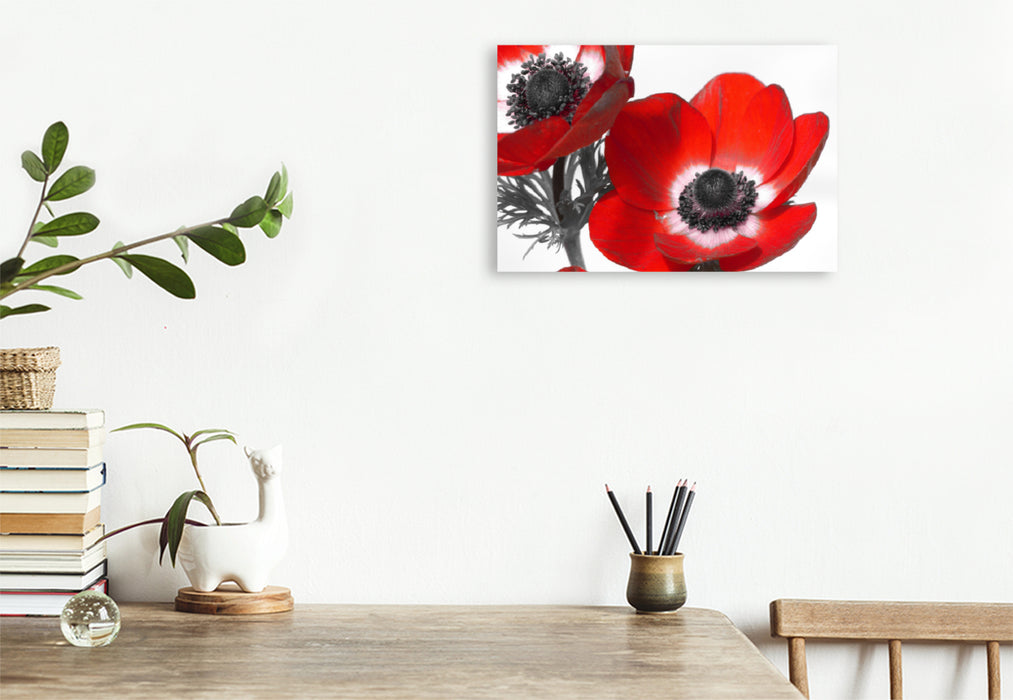 Premium textile canvas Premium textile canvas 120 cm x 80 cm landscape anemones 