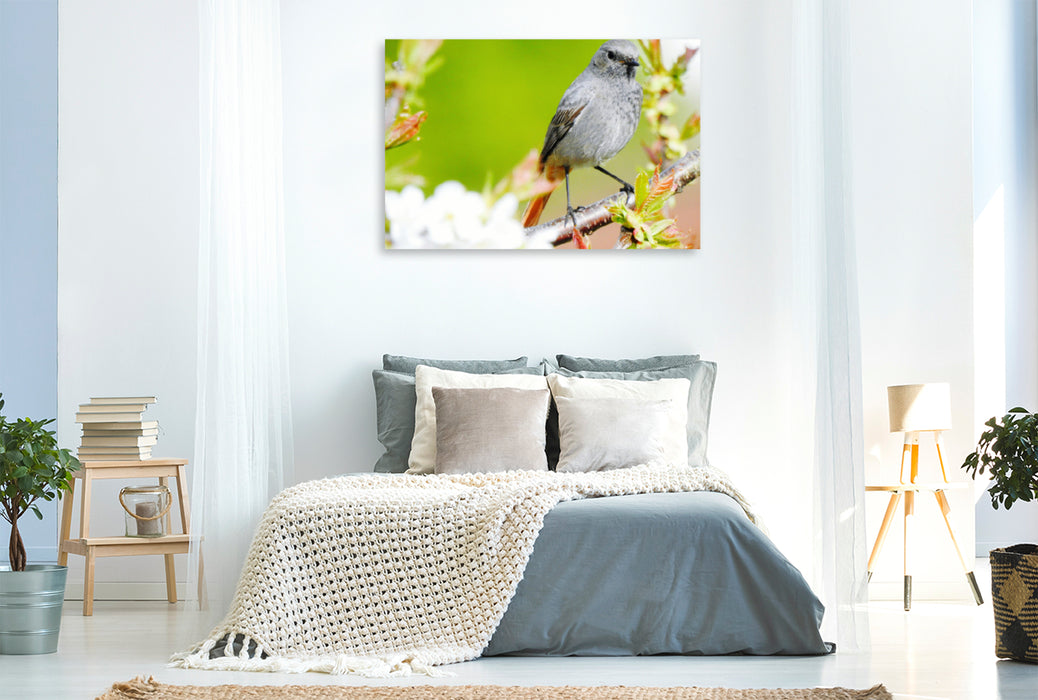 Premium Textil-Leinwand Premium Textil-Leinwand 120 cm x 80 cm quer Ein Motiv aus dem Kalender Vogelkalender
