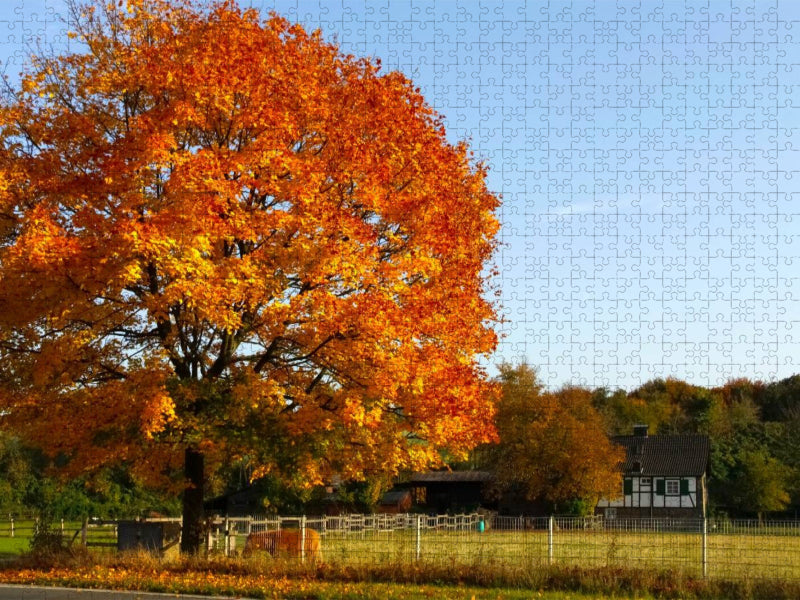 Krummenweger Strasse, Lintorf - CALVENDO Foto-Puzzle'