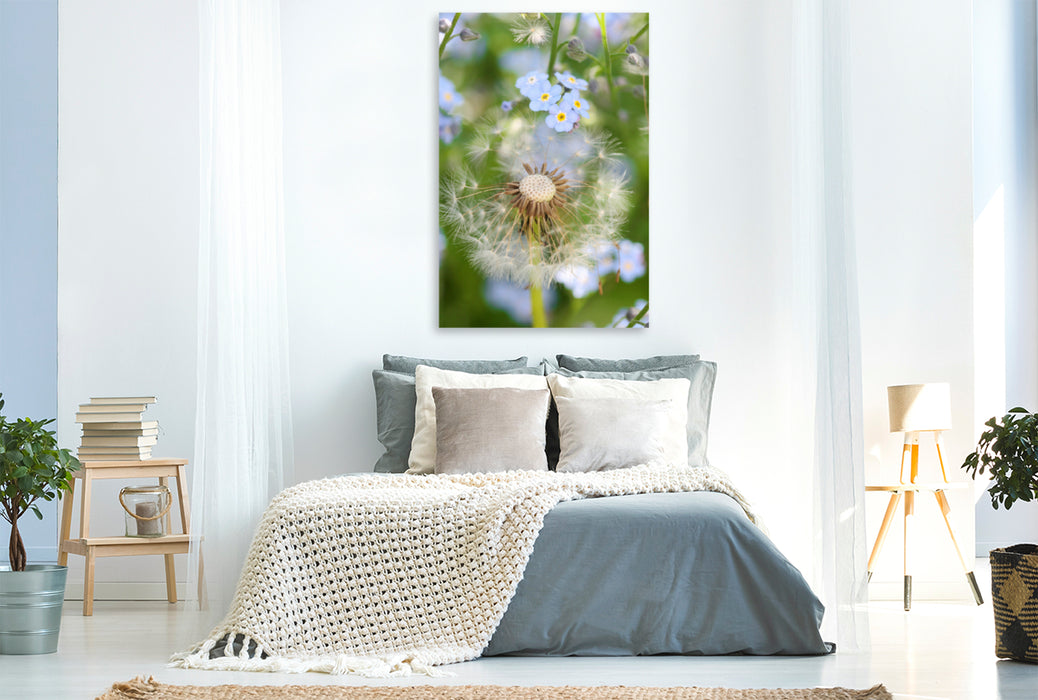 Premium Textil-Leinwand Premium Textil-Leinwand 80 cm x 120 cm  hoch Pusteblume mit Vergissmeinnicht