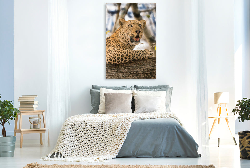 Premium Textil-Leinwand Premium Textil-Leinwand 80 cm x 120 cm  hoch Leopard